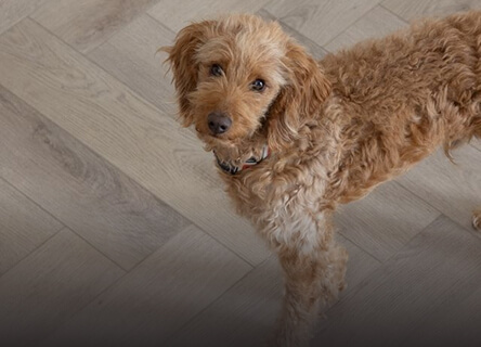 Wood Flooring