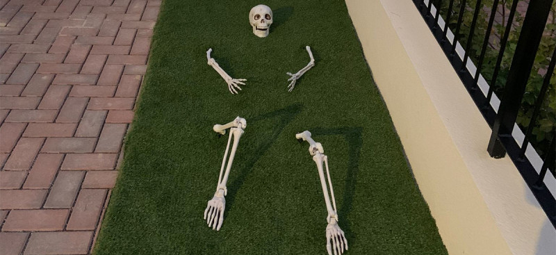 Halloween Front Garden Ideas: Style Your Front Garden Like Rebecca