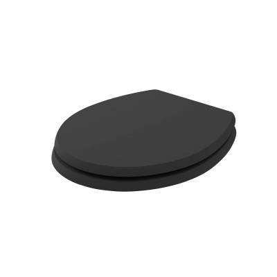 Fitzroy Coloured Soft Close Wooden Seat - Matt Black