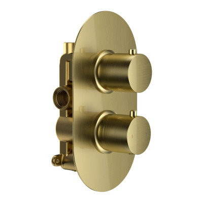 "Shower Valve (Round, Concealed, Twin, 1 Outlet) - Brushed Brass"