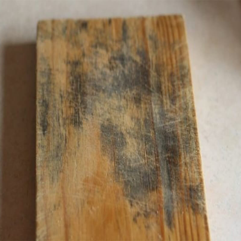 Kitchen water damage. waterproof kitchen flooring