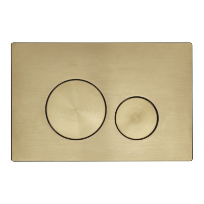 Flush Plates Circles Flush Plate - Brushed Brass