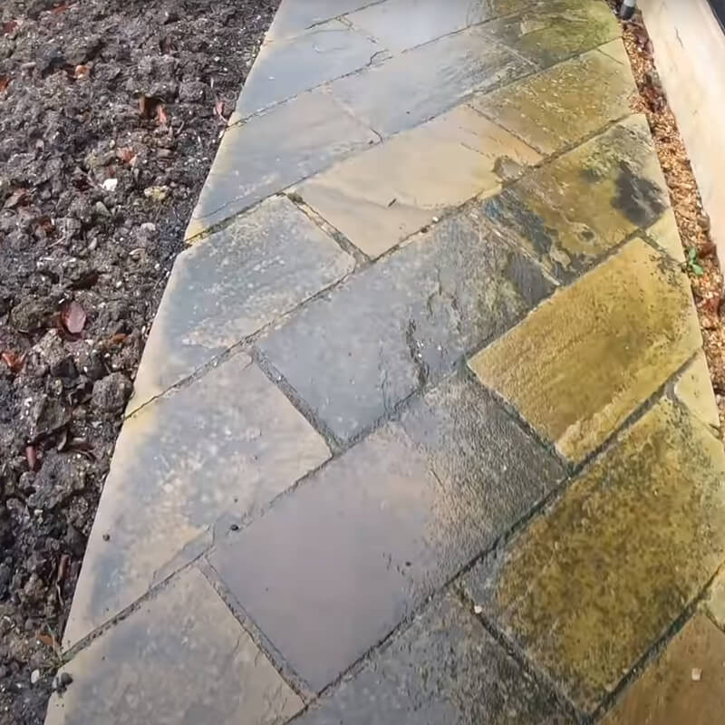 Natural outdoor scene featuring moss-covered patio slabs