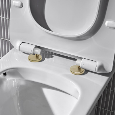 Loft Cover Cap (Seat Hinge) - Brushed Brass