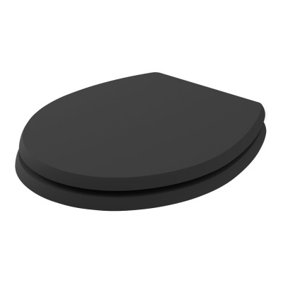 Fitzroy Coloured Soft Close Wooden Seat - Matt Black