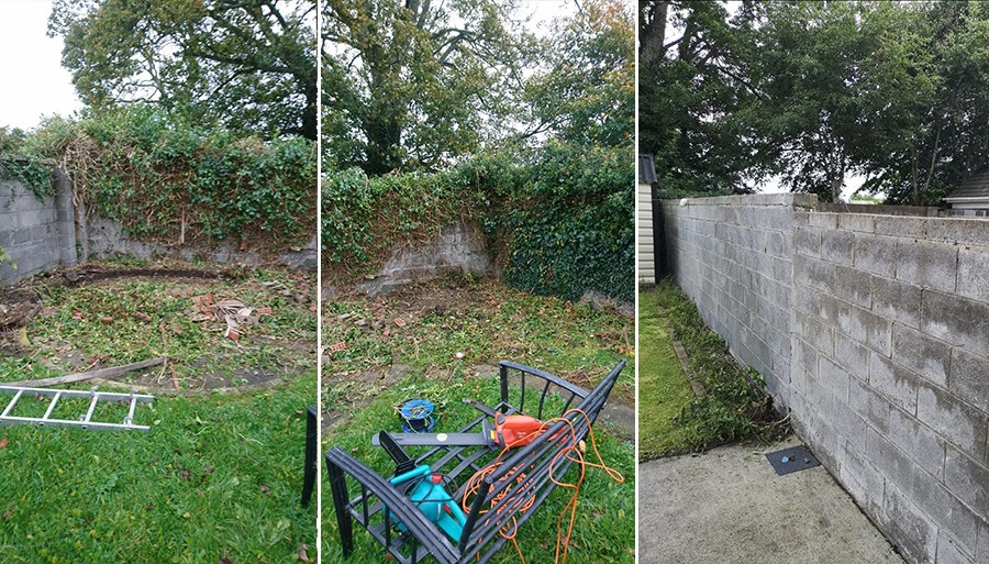 Before image of a tired garden in Kildare, Ireland